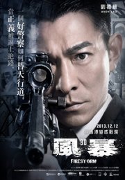 Огненная буря (2013) смотреть онлайн бесплатно в хорошем качестве