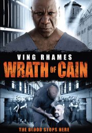 Пожизненно (2010) смотреть онлайн бесплатно в хорошем качестве